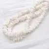 Accesorios de Joyería con Cadena de Grava de Concha Natural Blanca de Forma Irregular, Pulsera de Cuentas DIY, Collar, Producto Semi-Terminado