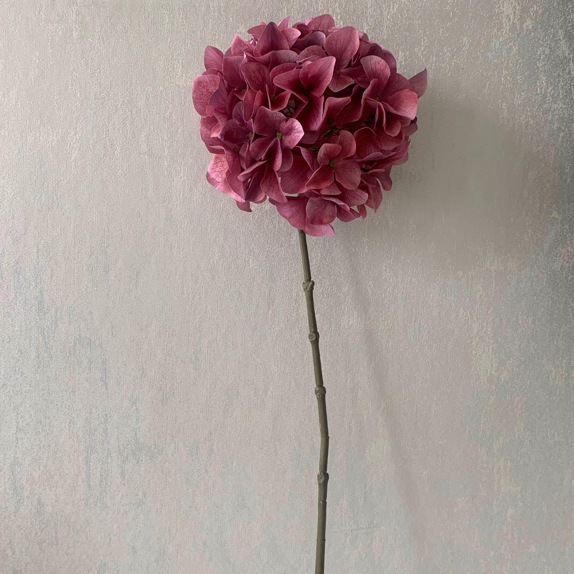 QQ图片20200426122209