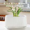 Venta de Liquidación de Macetas de Cerámica Tamaño Extra Grande para Uso en el Hogar con Plato, Diseño Único para Uso en el Hogar, Adecuadas para Cultivar Orquídeas Phalaenopsis y Suculentas