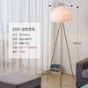 Lámpara de pie de plumas, luz nórdica, sala de estar de lujo, ins, niñas, Internet, princesa famosa, sala de estar, dormitorio simple, lámpara de mesita de noche