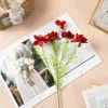 Estilo Pastoral 5 Cabezas Hierba Negra Flor Artificial Tela de Seda Planta Verde Accesorio Decorativo Fotografía Mesa Arreglo Estilo Nórdico