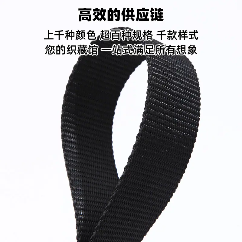 仿尼龙织带2