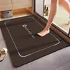 Tapete de Chão Absorvente de Terra de Diatomáceas Minimalista Moderno para Banheiro de Casa e Entrada, Tapete Antiderrapante para Pés, Resistente à Sujeira e de Fácil Cuidado