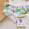 Precio Especial de Evento Pinkgirl Calzones Triángulo para Mujer con Ribete de Encaje, Nylon Elástico, Estampados, Secado Rápido, Directo de la Fábrica Fuente