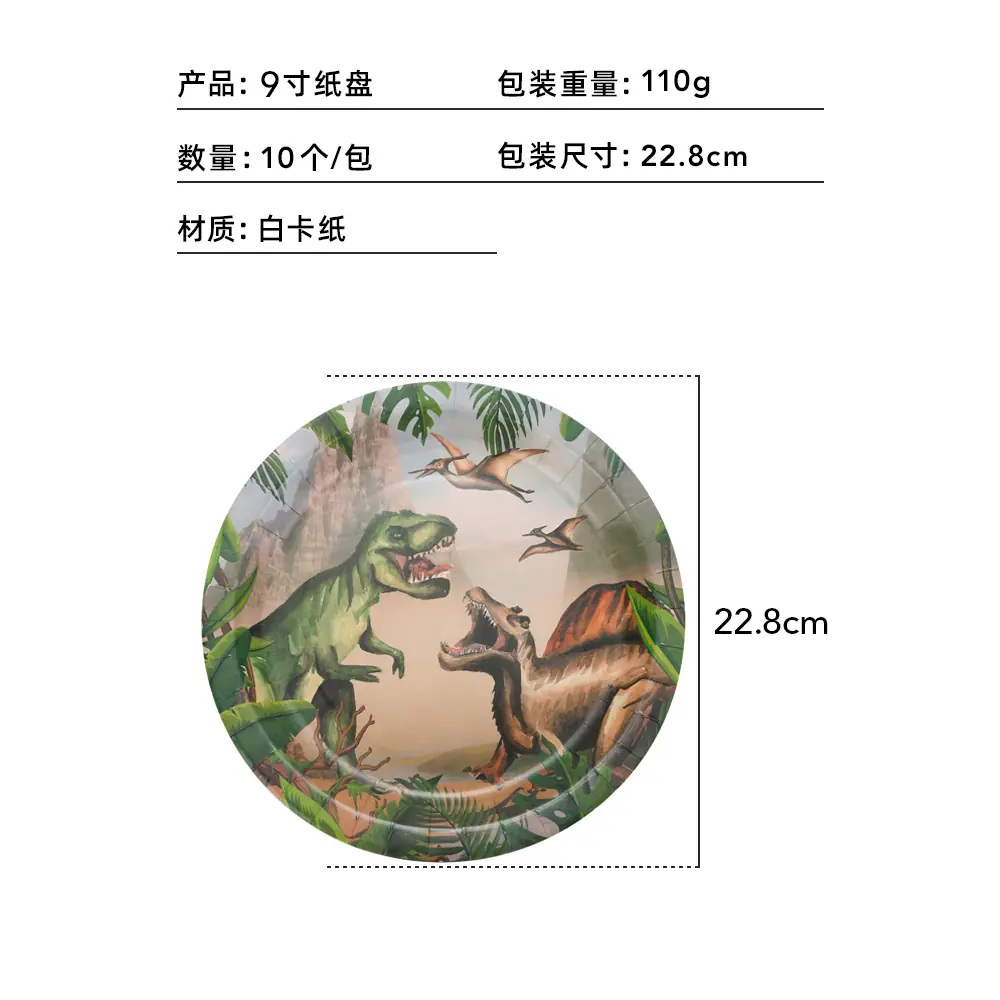 9寸纸盘
