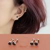 Clavo de Oreja Oro Rosa para Mujer Aguja de Plata Esterlina Tornillo Tornillo Sentido de Alta Gama 2023 Nuevo Pequeño Nicho de Oreja Aretes
