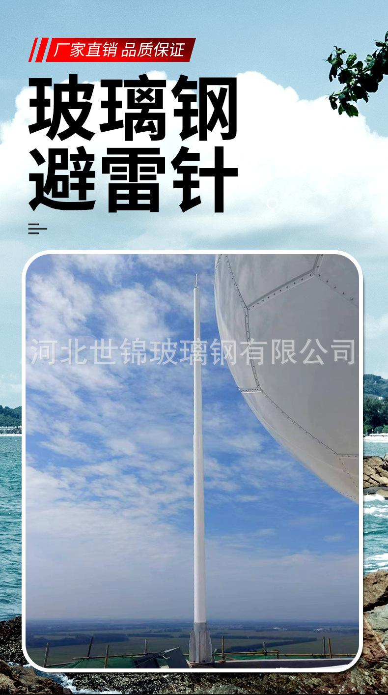 避雷针-详情页_01.jpg