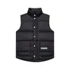Gilet de Inverno Moose para Homens/Mulheres, Colete Acolchoado, Aquecedor Corporal