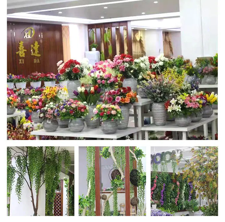 5头如意小兰花_02