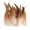 80 Tipos de Penas Naturais de Faisão, Penas Reais, Decorações Nativas Americanas, Acessórios DIY, Acessórios de Cabelo, Peças para Brinquedo de Vara para Gato