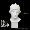 Estatua de yeso de la Cabeza de David, Estudiante de arte dibujando bodegón, Escultura de estilo europeo, Materiales didácticos de arte, Busto de figura de yeso, Tridimensional