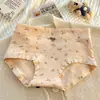 Ropa Interior Femenina de Algodón Puro Estampado Floral Pastoral Algodón de Bebé Clase A Antibacteriana Entrepierna Extendida Ropa Interior Femenina Boxer Ajustados al Cuerpo para Mujer