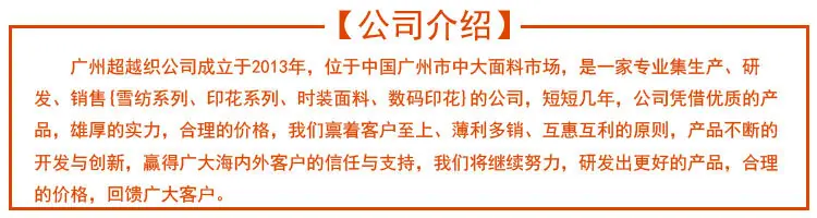 公司介绍