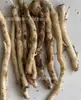 Se envían bulbos de lirio de los valles con capullos. Estas plántulas de lirio de los valles son resistentes al frío y fáciles de cultivar, lo que las hace adecuadas para plantas de interior en maceta y uso ornamental.. Las bombillas están disponibles para venta al por mayor