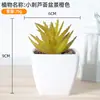 Simulación de plástico carnoso en maceta decoración de plantas verdes para el hogar adornos pequeños de escritorio maceta combinación de flores artificiales maceta accesorios para fotografía