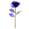 Cor Folha de Ouro 24K Rosa Cravo Dia dos Namorados Dia das Mães Festival Qixi Simulação Luminosa Flor Preservada