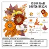 Kit de material DIY com flores secas, espécimes de plantas com flores reais prensadas, pintura de decoração para porta-retratos, um presente de aniversário para amigos e melhores amigas