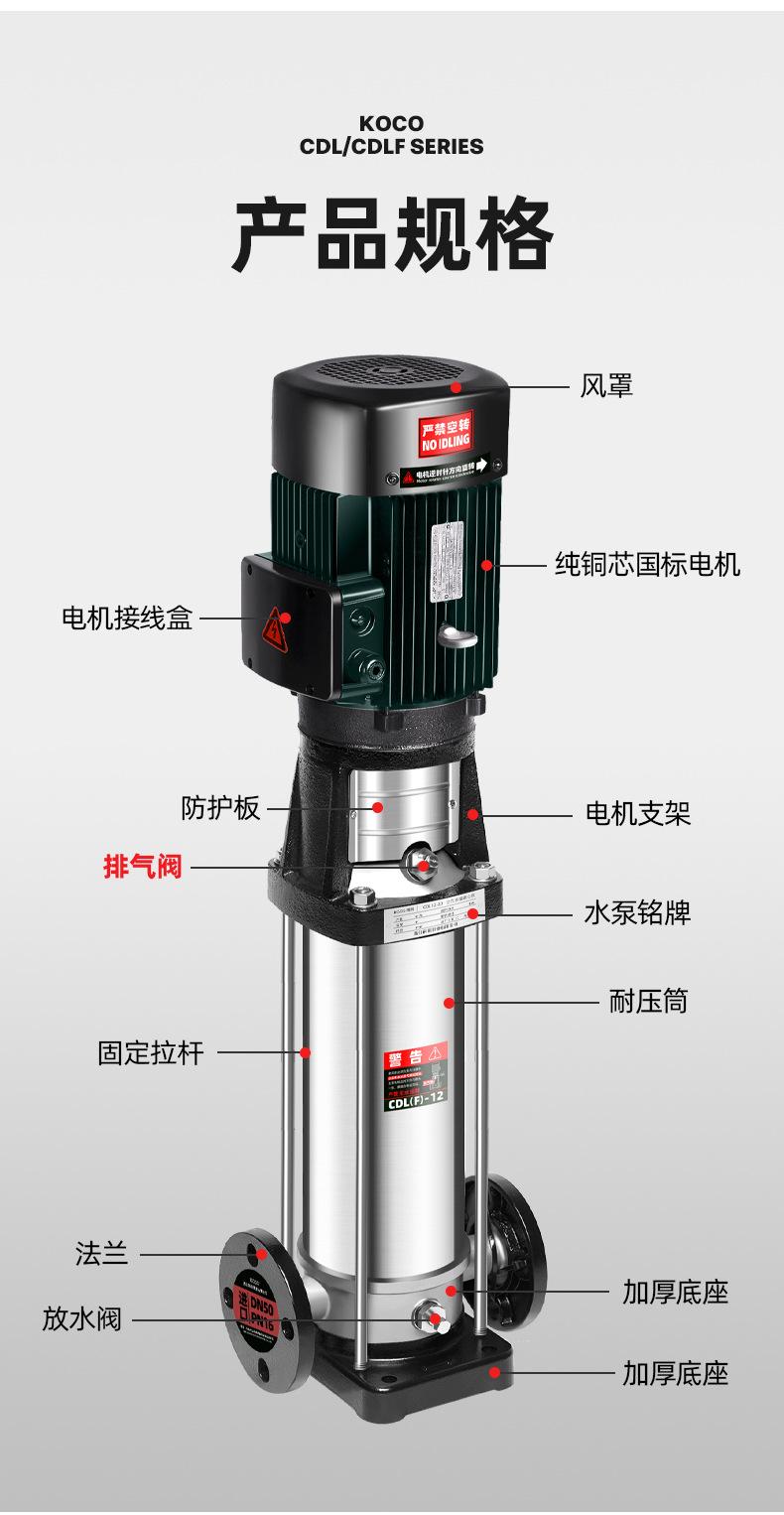 CDLF12_12.jpg