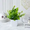 Flores Artificiais Transfronteiriças Eucalipto Bonsai Decoração de Mesa para Casa Sala de Estar Mini Ornamentos de Flores Artificiais de Plástico