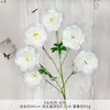 Flores Artificiais de Peônia Simuladas com 6 Cabeças, Toque de Luxo, Adequadas para Casamentos, Produto Acabado para Decoração de Sala de Estar, Flores de Plástico