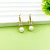 Luxo Leve e Sensação de Alta Qualidade, Brincos de Pérola com Flor para Mulheres, Brincos de Novo Estilo, Estilo de Marca Famosa, Brincos Estilo Coreano para Mulheres