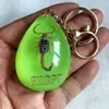 Colgante de Ámbar con Espécimen de Insecto Real Ámbar Insecto Gota de Agua con Forma de Insecto Escorpión Mariposa Abeja Flor Ámbar Transmisión en Vivo Venta al por Mayor