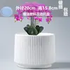 Vaso de Flor de Cerâmica de Alto Acabamento com Prato, Vaso de Flor Suculenta Branco Minimalista Estilo Nórdico Ins, Vaso Doméstico Versátil da Moda