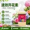 Fertilizante soluble en agua enfermedad de las flores Árbol de sangre de dragón Kang bambú de la suerte orquídea un rociado limpieza desinfección hojas brillantes árbol de la fortuna buganvilia solución nutritiva
