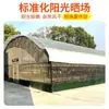 Pescado secado al aire, una especialidad de Hubei, carpa negra seca encurtida, carpa herbívora secada en granja, pescado salado seco, pescado curado, pescado plateado
