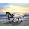 Dropshipping Transfronterizo Pintura al Óleo Digital al por Mayor Pinturas sin Marco 40X50 Amazon Wish Fábrica de Pintura Vestíbulo Ozon Caballo