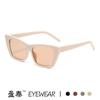 Moda Europea y Americana Nuevos Lentes de Sol Ojo de Gato, Fotografía Callejera Personalizada, Pasarela, Lentes de Sol de Celebridad de Internet, Lentes de Sol de Moda Transfronterizos