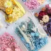 Decoración artesanal DIY mixta, set de flores eternas y flores secas, material para marco de fotos DIY, material de flores, bolsa para repujado