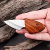 Net Rosewood faca de peixe ao ar livre portátil pequena gordura Golfinho camping churrasco faca cozinha doméstica Mini Express faca de frutas