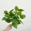 Planta artificial com Yang planta verde planta em vaso material de parede decoração folha artificial cola de folha grama artificial