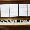 Carpeta de partituras A4 de 6 páginas para piano, plegable en 3, carpeta de partituras de piano desplegable de 6 páginas
