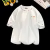 Camiseta Bordada Colorida de Manga Curta para Homens, Verão Simples Solta Versátil Ins Tendência Gola Redonda Meia Manga Top