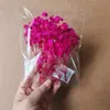 Bolsas de Porciones Pequeñas de Flores Secas, Flores Conservadas, Abanicos Hechos a Mano para DIY, Arreglos Florales Flotantes, Actividades de Team Building, Pegamento, Pinzas