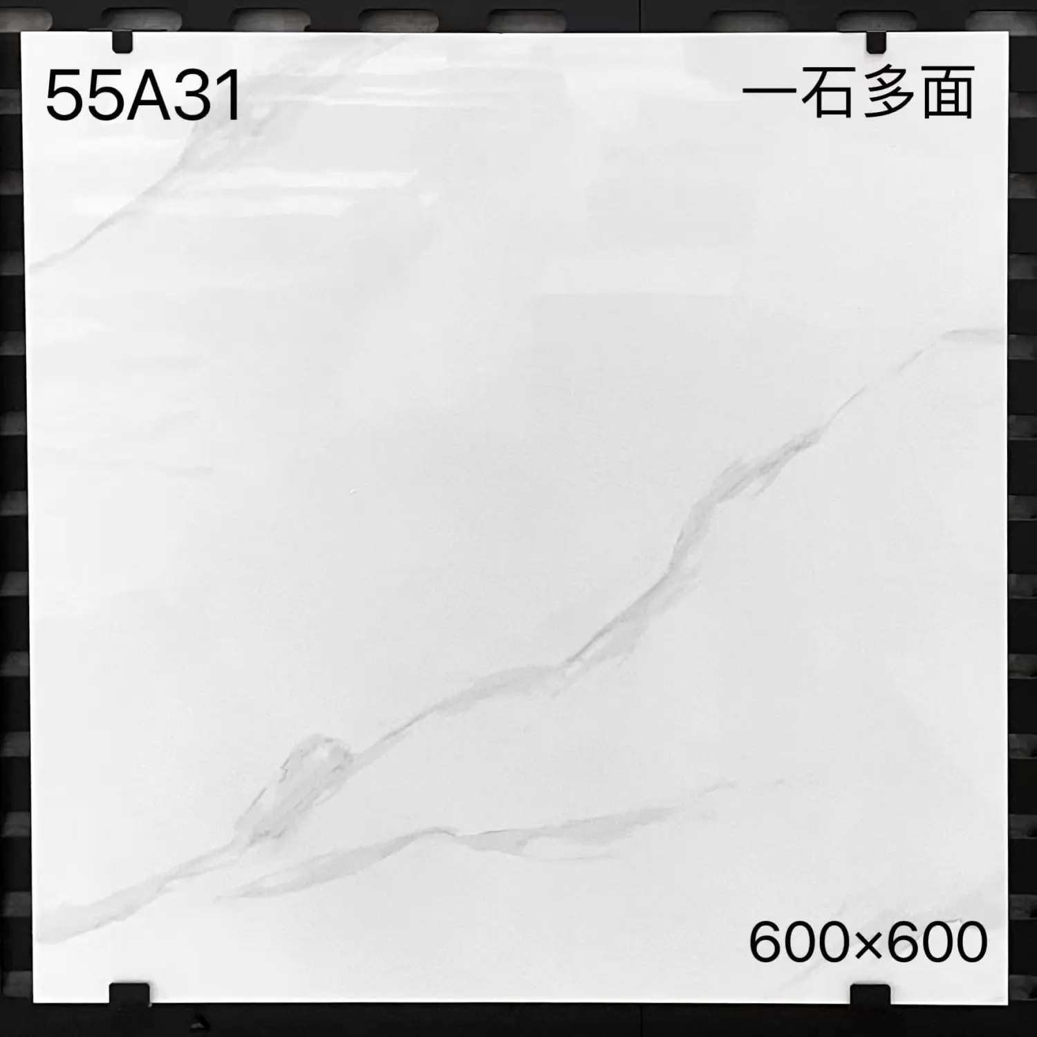 55A31.jpeg