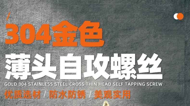 金色304不锈钢CA十字薄头自攻螺丝_01_01.jpg