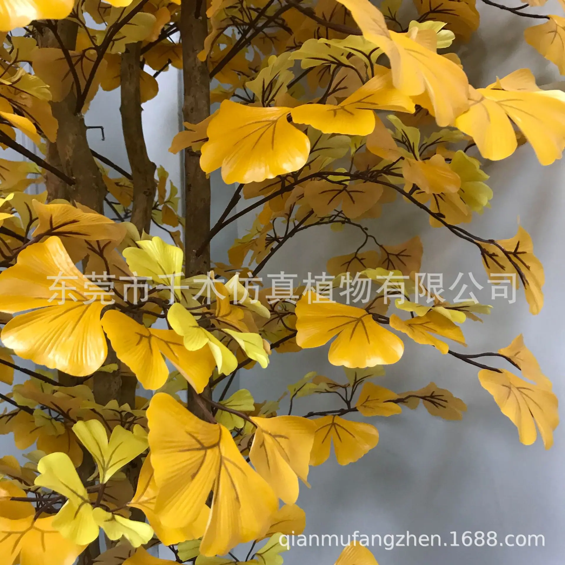 微信图片_2021052809445319