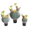 Ornamento Decorativo de Cacto Simulada Cactus de Interior Planta Verde Tropical do Deserto Paisagismo Vitrine Floreira Exibição