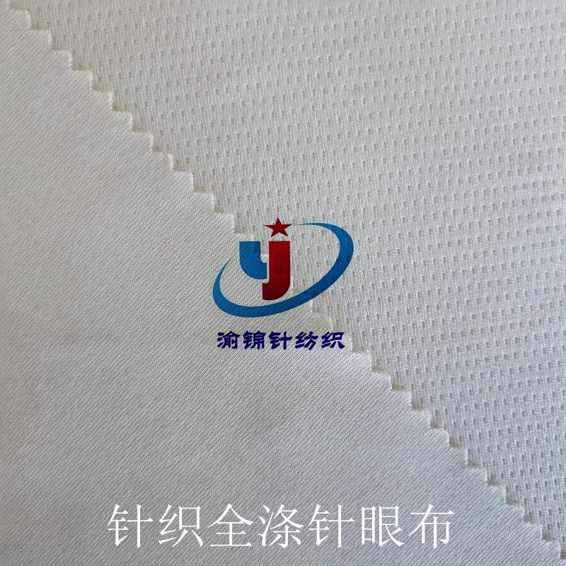 全涤针眼布 (19)