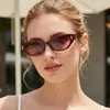Moda Europea y Americana 2026 Nuevas Gafas de Sol Pequeñas Estilo Ojo de Gato Simples Versátiles Estilo Callejero Mismo Estilo de Influencer Gafas de Moda