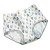 Algodón Cintura Alta Contracción Abdominal Ropa Interior Estampada Algodón Ropa Interior para Mujer Algodón Levantamiento de Cadera Calzones Venta al por Mayor de Fábrica