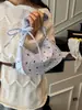 Nuevo Estilo 2025 Fresco y de Nicho con Lazo, Bolso Bandolera Elegante y Hermoso, Bolso Casual y Ligero para Hombro o Axila para Mujer