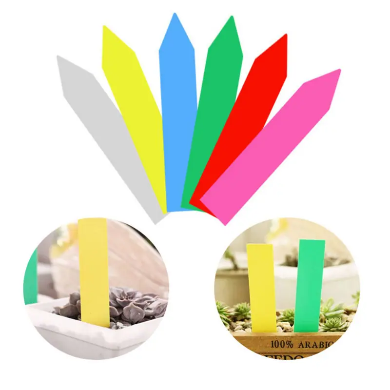 O1CN018gr6vg1FN8OMvDWqg_!!2210