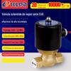 Nos(2L) Válvula Solenoide de Vapor de Alta Temperatura com Pistão Tipo Agulha Piloto de Ação Direta da Série, Todo Cobre, Aço Inoxidável, À Prova d'Água e à Prova de Explosão