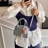 Bolso pequeño de estilo occidental de alta gama para mujer, nuevo bolso cruzado combinable de primavera 2025, bolso de bolos portátil, sencillo y moderno.