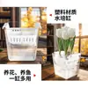 Vaso Especial Hidropônico para Tulipas com Cesto de Plantio, Conveniente para Trocar a Água Sem Danificar as Raízes, Recipiente Hidropônico para Tulipas