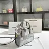 Entrega en una sola pieza bolsa de mano para la ciudad de gran capacidad impresión 2024 Nuevo bordado portátil bolsa cuadrada pequeña venta al por mayor